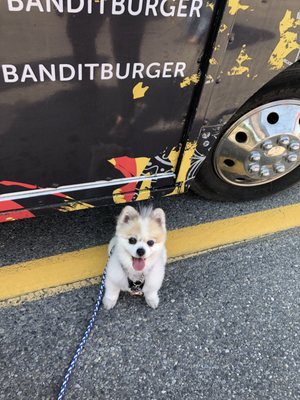 Bandit Burger 2019 All You Need To Know Before You Go