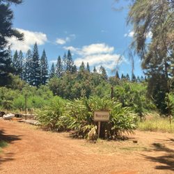 Kumu Farms