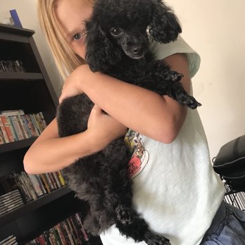 Best Friends Pet Grooming - Pet Groomers Near Me - Boynton Beach, Florida