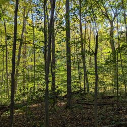 Shades State Park