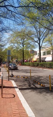 Village at Shirlington by null