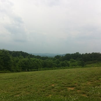 Dobbins Creek Vineyard - Wineries Near Me - Hamptonville, North Carolina