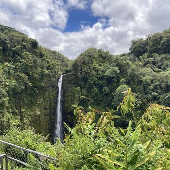 Polynesian Adventure - Akaka Falls - Bus Tours Near Me - Honolulu, Hawaii