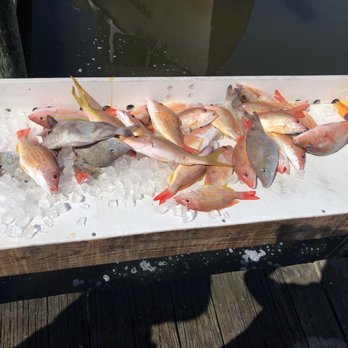 Fish N Fever Charters - Snapper - Boat Charters Near Me - Naples, Florida