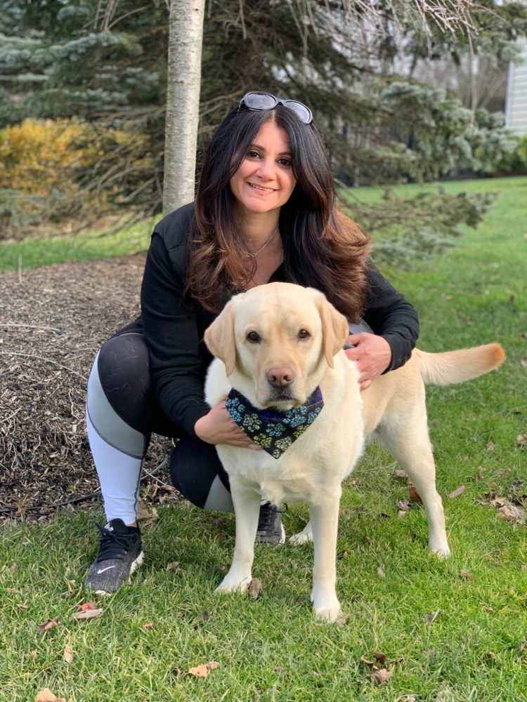 Let's Play Ruff - pet boarding facility in Holmdel, NJ