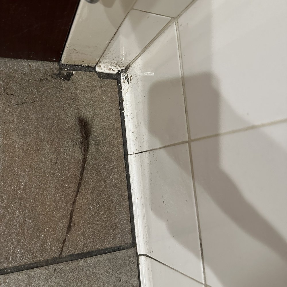 Rise to Grind - Bathroom, clumps of hair and dirt... - Coffee & Tea Near Me - Murrieta, California Rise to Grind - Bathroom, clumps of hair and dirt... - Coffee & Tea Near Me - Murrieta, California