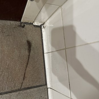 Rise to Grind - Bathroom, clumps of hair and dirt... - Coffee & Tea Near Me - Murrieta, California Rise to Grind - Bathroom, clumps of hair and dirt... - Coffee & Tea Near Me - Murrieta, California