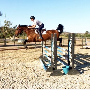 Global Sport Horse Stables - Hunter/Jumper Training - Horseback Riding Near Me - Temecula, California Global Sport Horse Stables - Hunter/Jumper Training - Horseback Riding Near Me - Temecula, California
