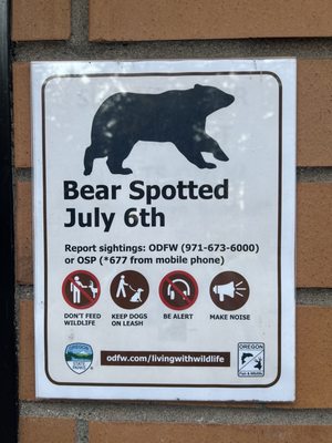 Samuel H. Boardman State Scenic Corridor by null