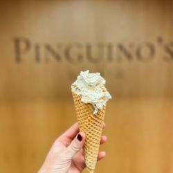 Pinguino's Gelato