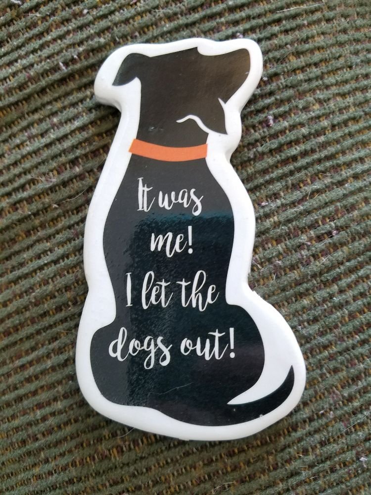 BAYSHORE PETSITTING AND MORE Updated March 2024 Corpus Christi