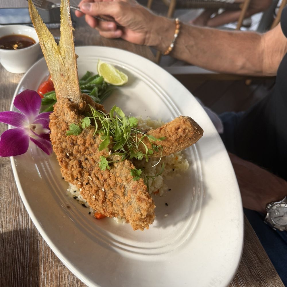 Square Grouper - Islamorada - Yellowtail with Jasmine rice - Seafood Near Me - Islamorada, Florida Square Grouper - Islamorada - Yellowtail with Jasmine rice - Seafood Near Me - Islamorada, Florida