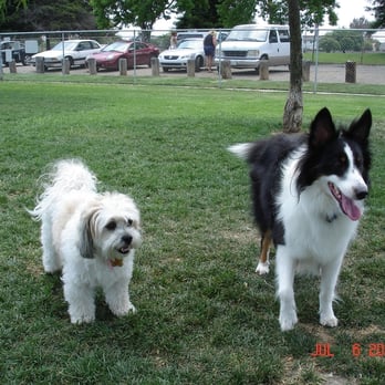 Arbor Dog Park - Dog Parks Near Me - Los Alamitos, California Arbor Dog Park - Dog Parks Near Me - Los Alamitos, California
