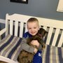Photo of North Windham Animal Hospital