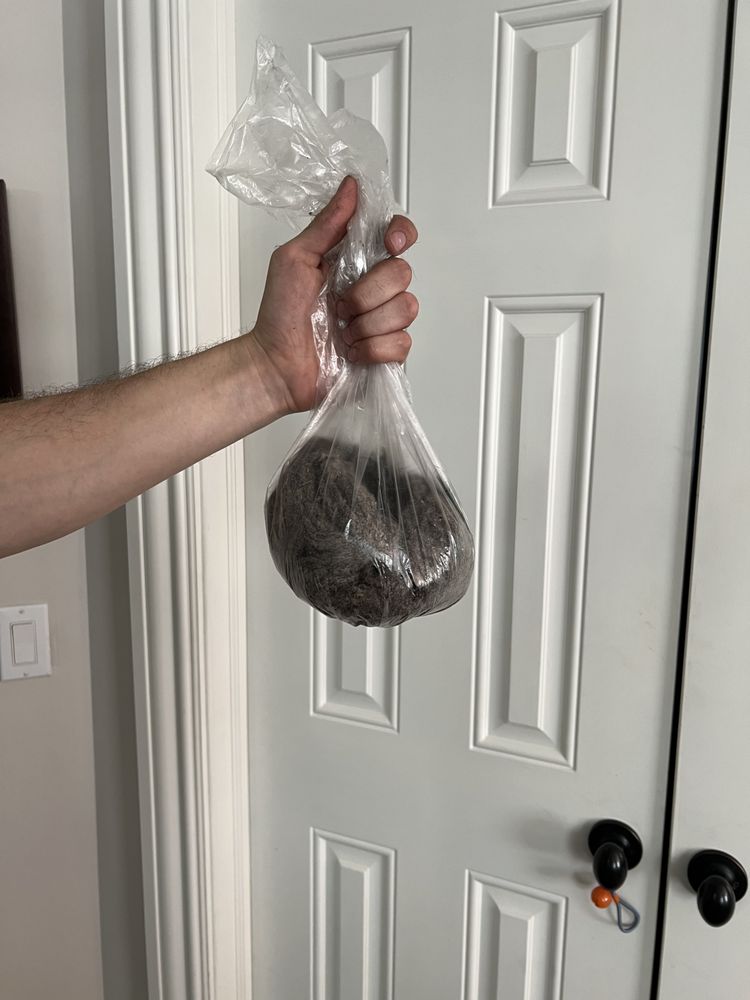 OXI FRESH CARPET CLEANING WYCKOFF Updated June 2024 Wyckoff, New Jersey Carpet Cleaning