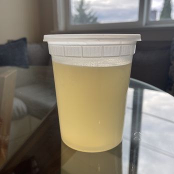 An Nam Pho - Chicken Pho broth - Vietnamese Near Me - Seattle, Washington