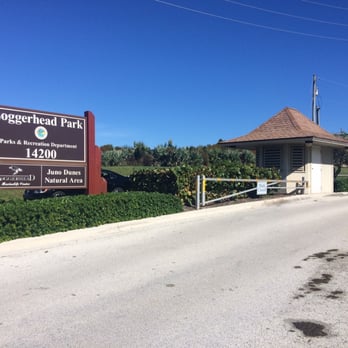 Loggerhead Marinelife Center - Community Service/Non-Profit Near Me - Juno Beach, Florida Loggerhead Marinelife Center - Community Service/Non-Profit Near Me - Juno Beach, Florida