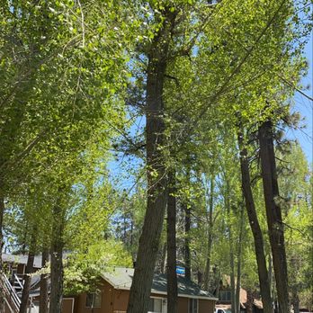Grey Squirrel Resort & Vacation Rental Homes - Loved the camp grounds. - Big Bear Lake, CA