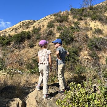 Stebbins Cold Canyon Loop Trail - Hiking Near Me - Winters, California