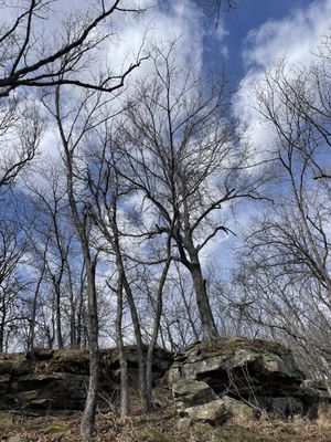Joseph H. Williams Tallgrass Prairie Preserve by null