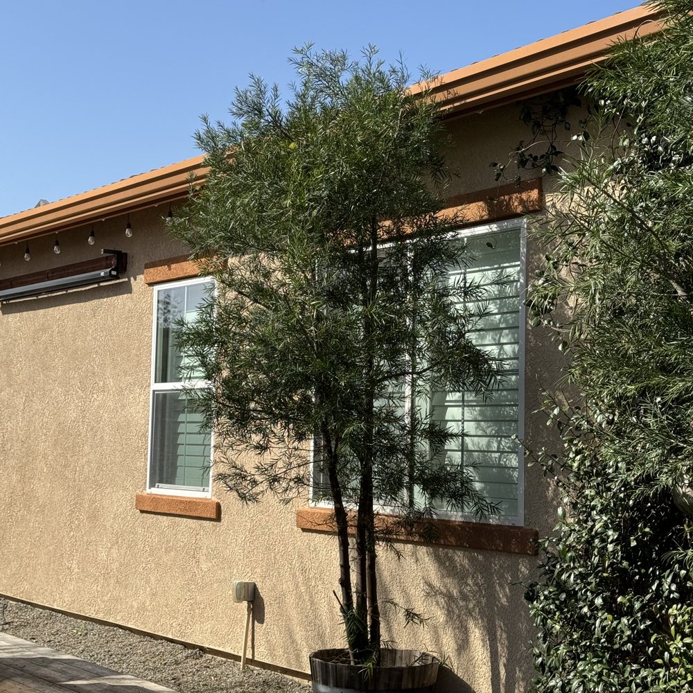 Roberto’s Tree Service - Tree Services Near Me Roberto’s Tree Service - Tree Services Near Me