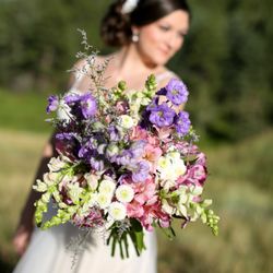 Frontrange Florals - Wildflower packages available!