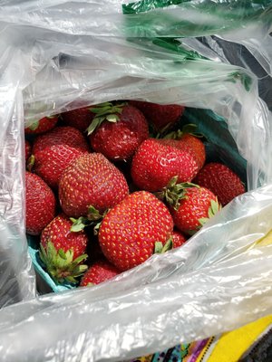 Photo of Sherry's Produce - Tucker, GA, US. Strawberries was sweet and gave of a beautiful aroma!!!