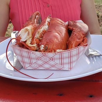 Ogunquit Lobster Pound - 2lb lobster, steamed and cracked for us. - Seafood Near Me - Ogunquit, Maine Ogunquit Lobster Pound - 2lb lobster, steamed and cracked for us. - Seafood Near Me - Ogunquit, Maine
