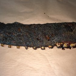 Bohemian Barbecue