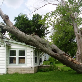 Johnny's Tree Service - Storm damage and insurance claims are our specialty. - Tree Services Near Me - Jackson, Michigan Johnny's Tree Service - Storm damage and insurance claims are our specialty. - Tree Services Near Me - Jackson, Michigan