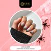 Chic Nail Lounge gift card
