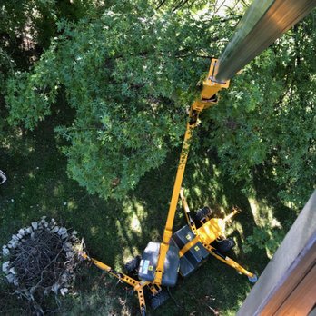 Hall Brothers Tree Services - Tree Services Near Me - Olmsted Falls, Ohio Hall Brothers Tree Services - Tree Services Near Me - Olmsted Falls, Ohio
