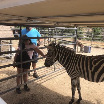 Sugarplum Zoo - Chocolatiers & Shops Near Me - Temecula, California