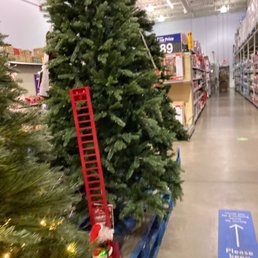 Christmas Time Trees! Christmas Time Trees!