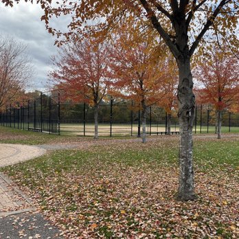 Raynor Beach County Park - Paths and Softball Field - Parks Near Me - Lake Ronkonkoma, New York Raynor Beach County Park - Paths and Softball Field - Parks Near Me - Lake Ronkonkoma, New York