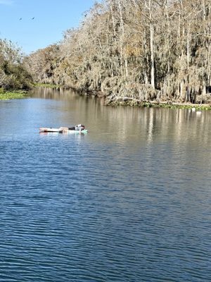 Manatee Springs by null