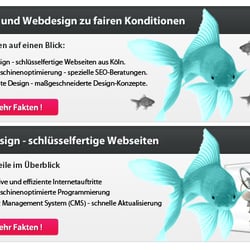 Katja Lehmann grafikdesign  webdesign  cms - Grafik- und Webdesign aus Köln zu fairen Konditionen!