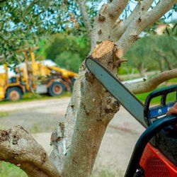 Tarheel Residential Roofing and Tree Service