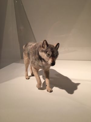 Fukuoka City Museum by null