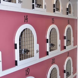 Posh Pooch Doggy Daycare & Spa