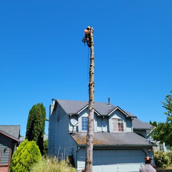 AA Tree Service - Tree Services Near Me - Kent, Washington AA Tree Service - Tree Services Near Me - Kent, Washington