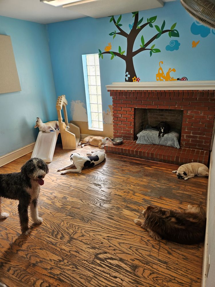 ANIMAL AND BIRD HOSPITAL OF CLEARWATER Updated September 2024 36