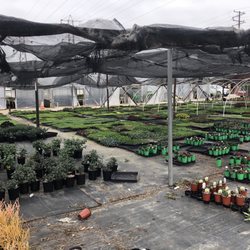 Certified Plant Growers - New seeding were in several places