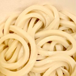 Marugame Udon - Udon