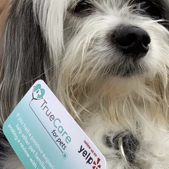 TrueCare for pets - Happy patient! - Veterinarians Near Me - Studio City, California TrueCare for pets - Happy patient! - Veterinarians Near Me - Studio City, California