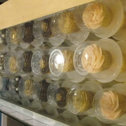 Balloons & Cupcakes