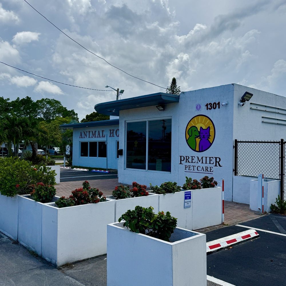 Premier Pet Care - Exterior- they have an expanded parking lot so plenty of parking - Veterinarians Near Me - Fort Lauderdale, Florida Premier Pet Care - Exterior- they have an expanded parking lot so plenty of parking - Veterinarians Near Me - Fort Lauderdale, Florida