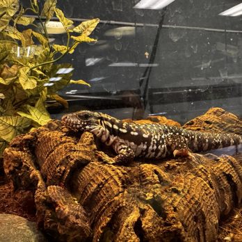 Zookeeper - Pet Stores Near Me - Austin, Texas