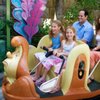 Alice in Wonderland gift card