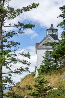 Bass Harbor Head Light Station by null